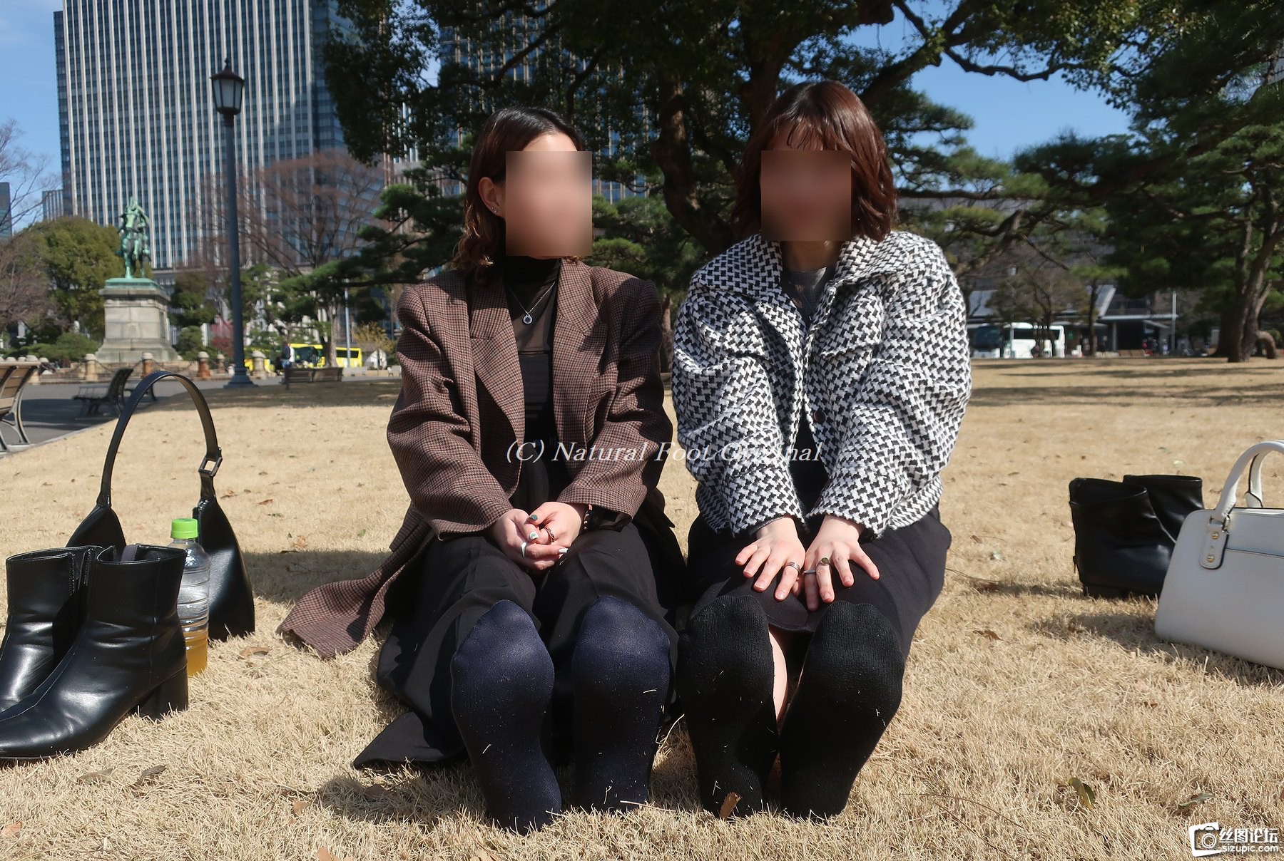 IMG_4384.jpeg